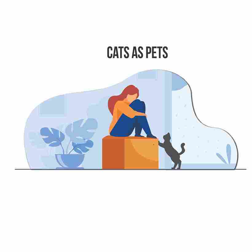 Cats as pets